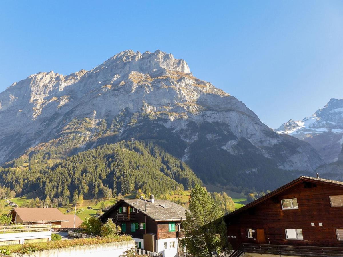 Apartment Chalet Almis-Boedeli-2 By Interhome Grindelwald Zewnętrze zdjęcie