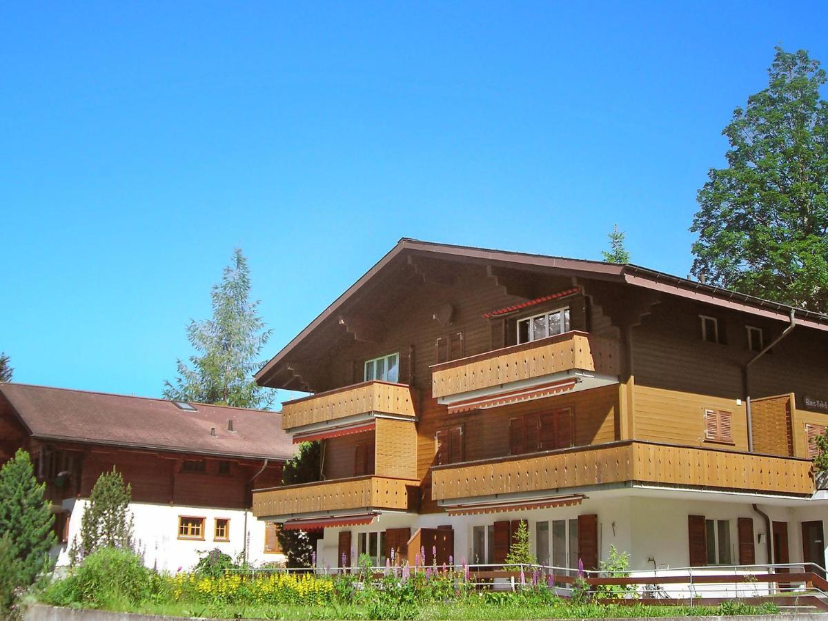 Apartment Chalet Almis-Boedeli-2 By Interhome Grindelwald Zewnętrze zdjęcie
