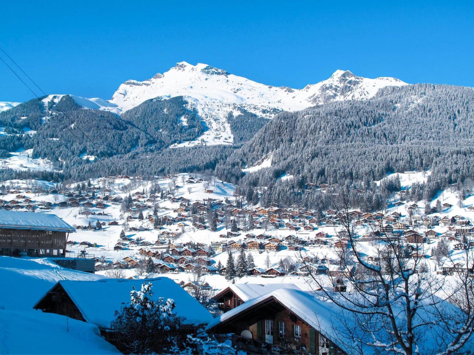 Apartment Chalet Almis-Boedeli-2 By Interhome Grindelwald Zewnętrze zdjęcie